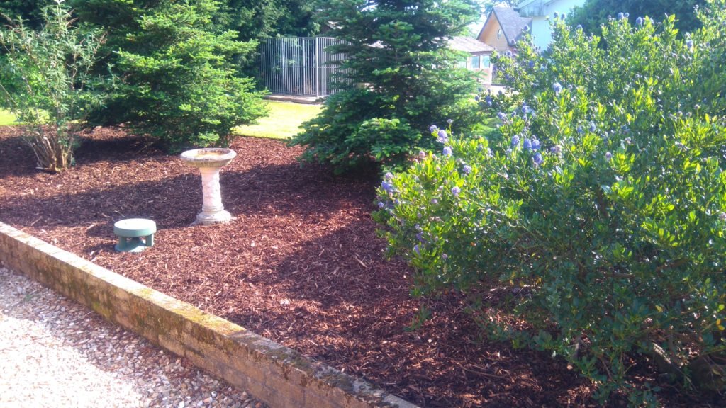 British Soil Melcourt Spruce Ornamental bark