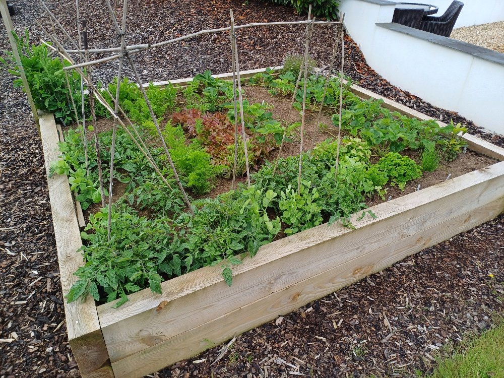 Raised bed planted using Supagrow